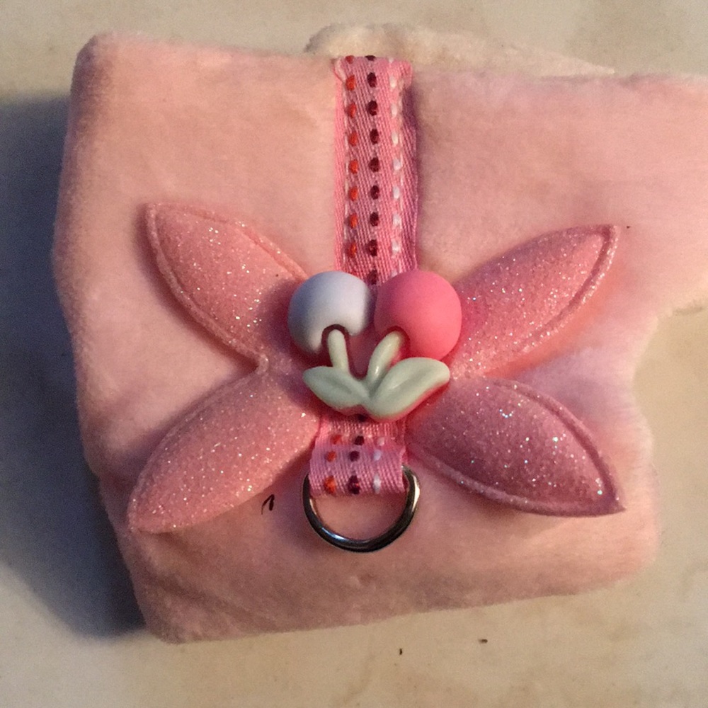 Tiny pink harness with pink leash